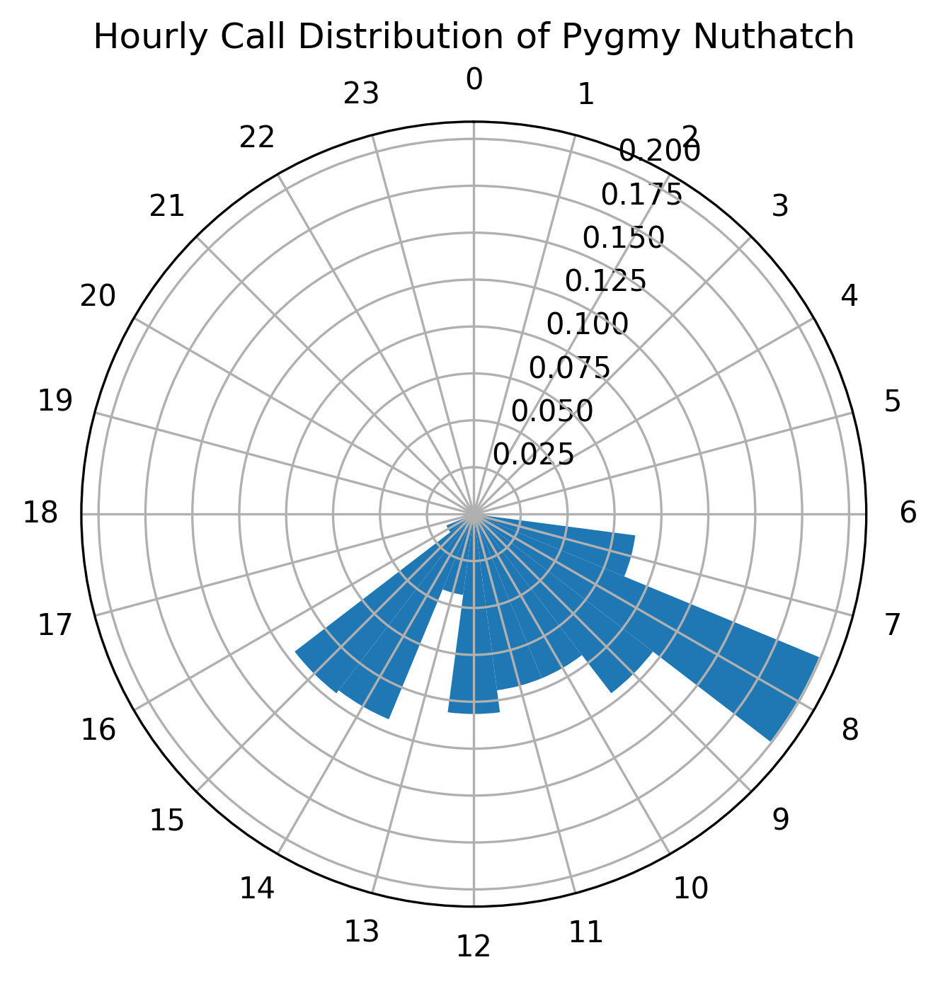 clock plot of pygmy nuthatches