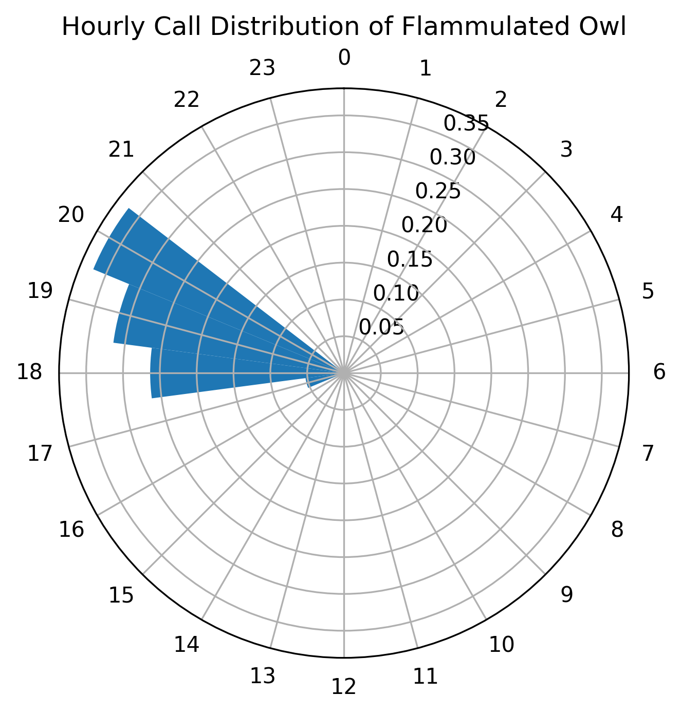 clock plot of Flammulatd Owl