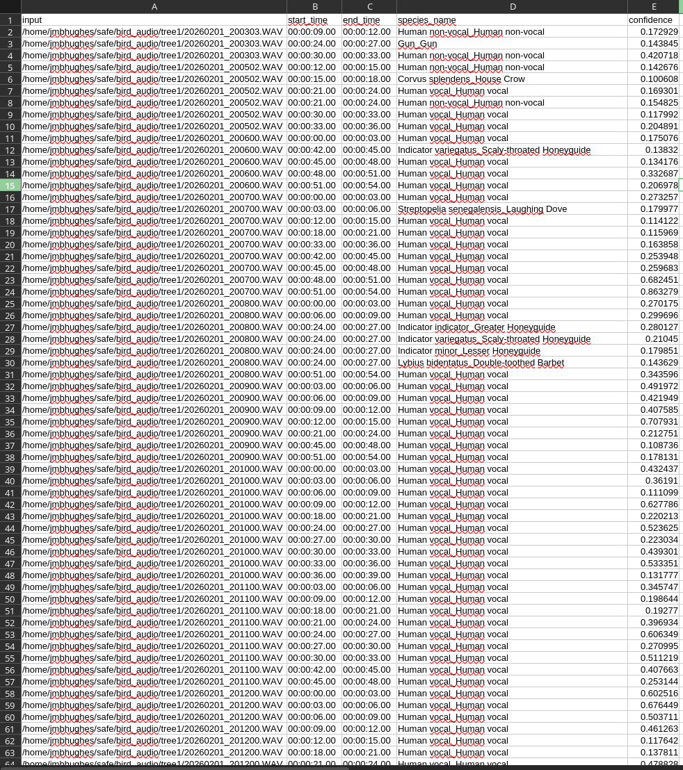Picture of predictions spreadsheet